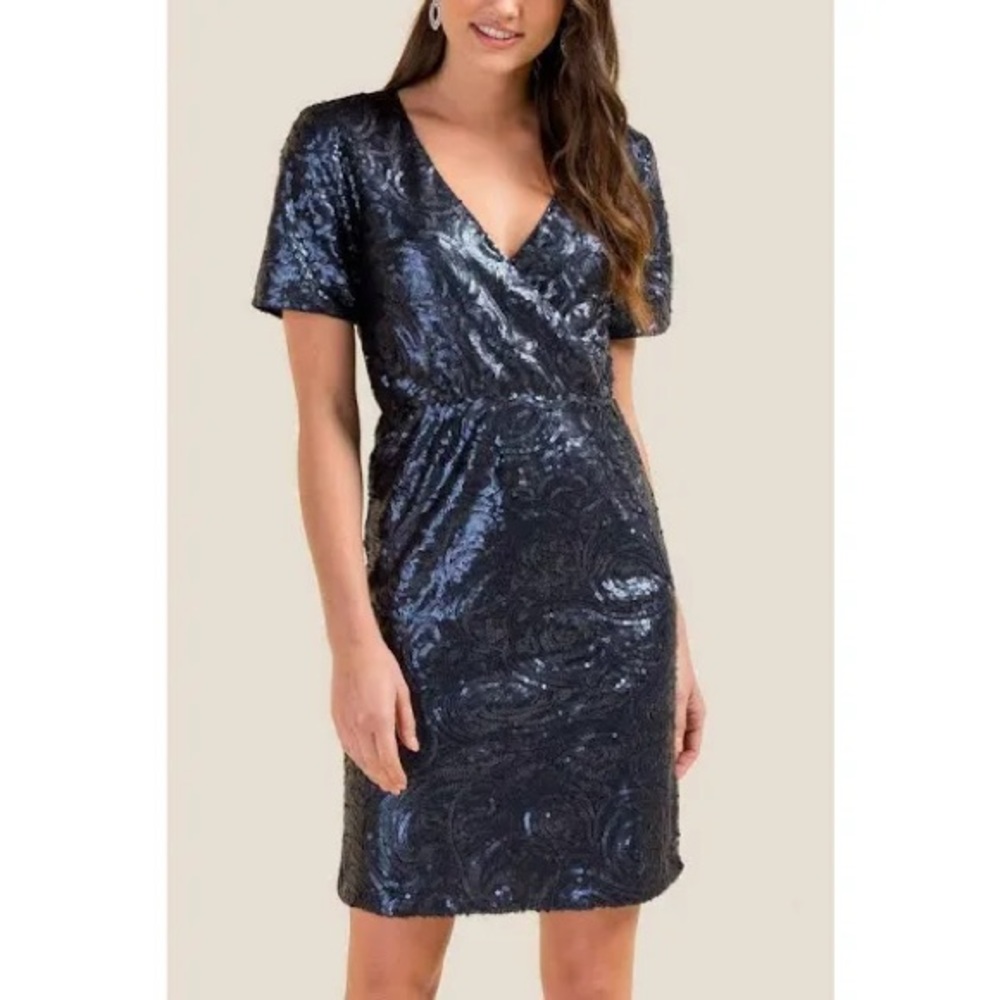 Francesca's Collections Dresses | Francesca Delany Sequin Mini Dress